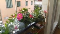 B&B Verù - B&B