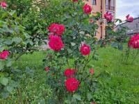 Seraval Valsesia Apartment - B&B Serravalle Sesia
