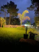 Brisa del Sur Lofts - Chambres d’hôtes La Paloma