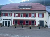 Sky view, Forest Apartments Menzenschwand - Ferienwohnung