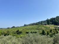 Casa vacanze colline lucchesi - B&B San Quirico di Moriano