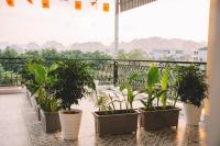 Ninh Binh Sunshine Homestay - B&B