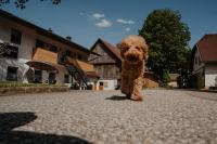 Aprießnig Apartments - B&B Fürnitz