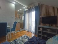 GREEN HILL Lux Apartments - Bed and Breakfast Soko Banja