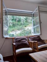 Ave Ibis eremita Vejer - B&B Cadiz