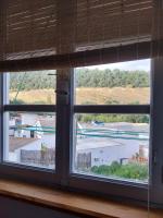 Ave Ibis eremita Vejer - B&B Cadiz