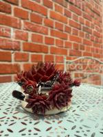 Ferienhof Hirsch - B&B Feuchtwangen