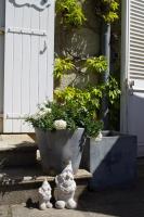 Chambres d'Hôtes Domaine du Hameau Baylesse - Bed and Breakfast Saint-Jean-d'Aigues-Vives