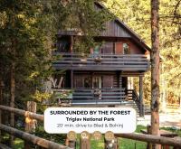 Forest Apartments Pokljuka - Ferienwohnung Zgornje Gorje