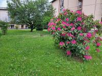 Seraval Valsesia Apartment - B&B Serravalle Sesia