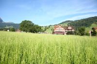 Landgasthof Grossteil - B&B Giswil