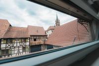 APPARTEMENT DAISY - Au Calme des Vignes - Parking privatif & Animaux Bienvenus - B&B Dambach-la-Ville