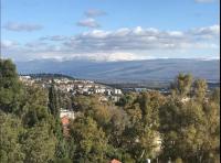 אחוזת שולמית דירה 5 - Chambres d'hôtes Rosh Pina