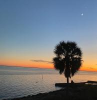Life In The Blue - B&B