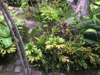 Paki Maui in Paradise - Ocean side - Chambres d’hôtes Kahana