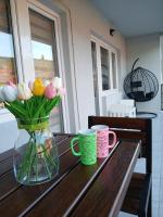 Vila Bela - Ferienwohnung Soko Banja