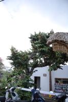 Upes Garden Homestay Bien Ho - B&B Buôn Hoái