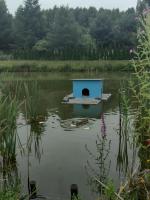 Domek Letniskowy na Zielonych Wzgórzach - Bed and Breakfast