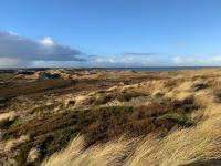 Ferienwohnung Inselmärchen Westerland auf Sylt - Ferienwohnung Westerland