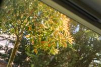 Perfect for Silverstone Free Parking Stylish 2BR - B&B Buckingham