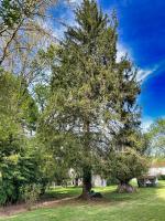 Grand Jardin Maison Spacieuse Idéale pour Famille - Chambres d’hôtes Larche