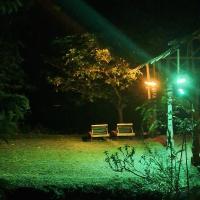 Bed in 4-Bed Dormitory Room