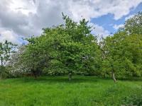 Maison de vacances à la campagne - B&B Les Grands-Chézeaux