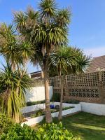 Poppys by the sea - B&B South Hayling