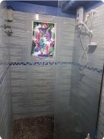 Tropical Almond Haven - B&B Suva