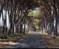 La Casina di Dudy - Ferienwohnung Stagno