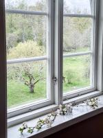 Single Room with Garden View