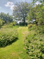 Knock Farmhouse - Bed and Breakfast Walton East