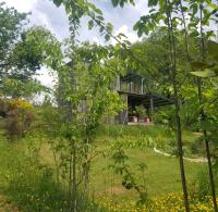 Le petit paradis, mini maison,nature,confort,calme - Chambres d’hôtes
