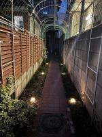 陽だまりのうたたねこ - B&B Tokyo