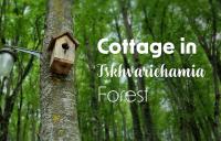 Cottage in Tskhvarichamia forest - Chambres d’hôtes Mtskheta