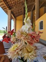 Cascina Olmetto di Sotto - B&B Ghedi