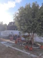 Villa Lea Appartamenti - Bed and Breakfast