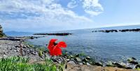 Onde Dell' Etna 10 - Bed and Breakfast