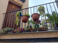 Capo - B&B Palermo