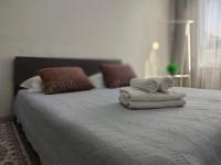 2х комнатные квартиры возле Кардиоцентра - B&B Taldykol’