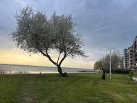 Mamaia Lake Residence - B&B