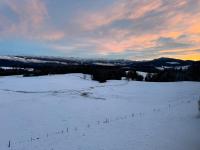 Ferienwohnung Alpenview im Allgäu - B&B Scheidegg