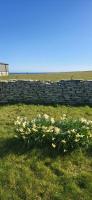 Greenatang,Shapinsay,Orkney - Bed and Breakfast Gretna Green