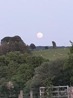 Pondside Cabin - Ferienwohnung Launceston