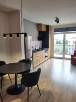 Sika Select Grand Apartment - Ferienwohnung Arad