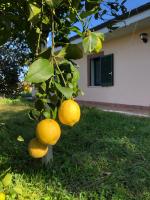 Camera Sydney - Ferienwohnung Nettuno
