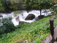 Casa da Lagoa II - B&B Terras de Bouro