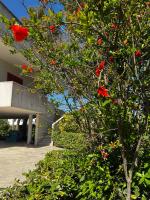 WalMarhouse - B&B Taranto