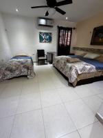 Apartamento de 1 dormitorio