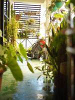 Redwood Inn - B&B